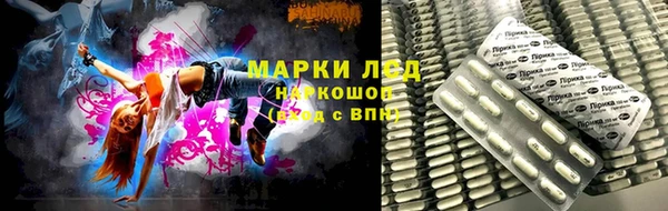 ПСИЛОЦИБИНОВЫЕ ГРИБЫ Алексеевка