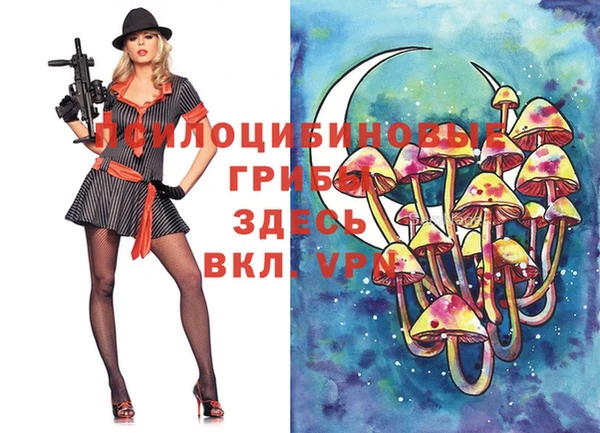 ПСИЛОЦИБИНОВЫЕ ГРИБЫ Алексеевка