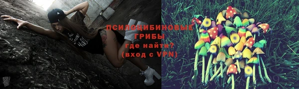 стафф Алексин