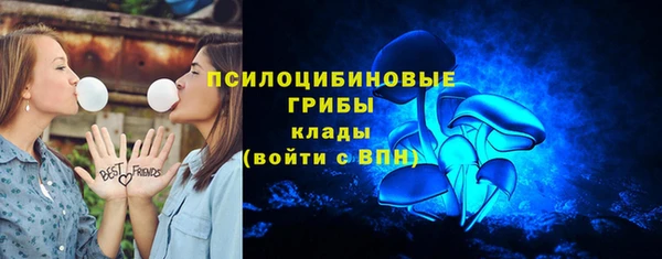 ПСИЛОЦИБИНОВЫЕ ГРИБЫ Алексеевка