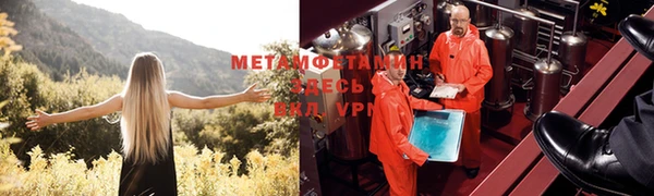ПСИЛОЦИБИНОВЫЕ ГРИБЫ Алексеевка