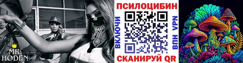 Псилоцибиновые грибы Psilocybine cubensis даркнет сайт Медынь